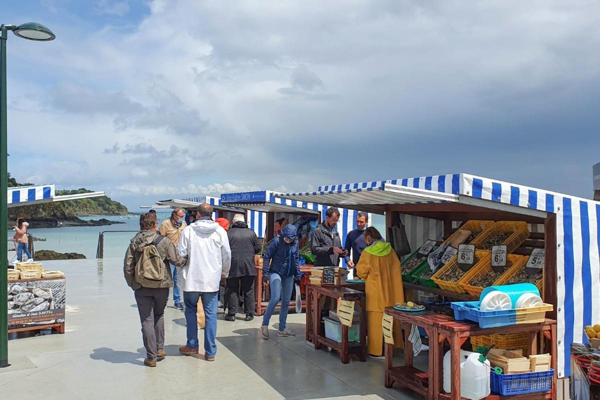 Lostra 2 - Appartement Avec Mezzanine, Front De Mer A Cancale Sur Le Port De La Houle Zewnętrze zdjęcie